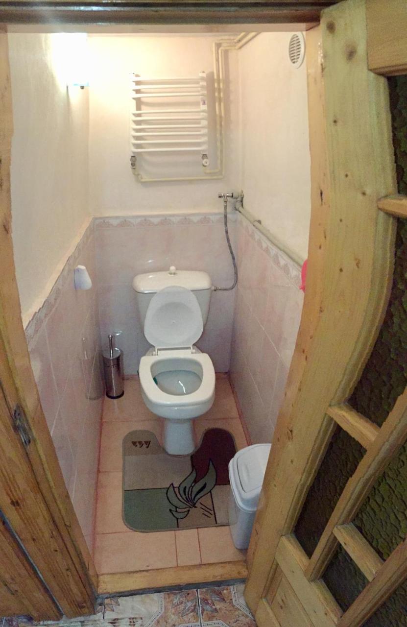 Guest House Karpaty ヤレムチャ エクステリア 写真