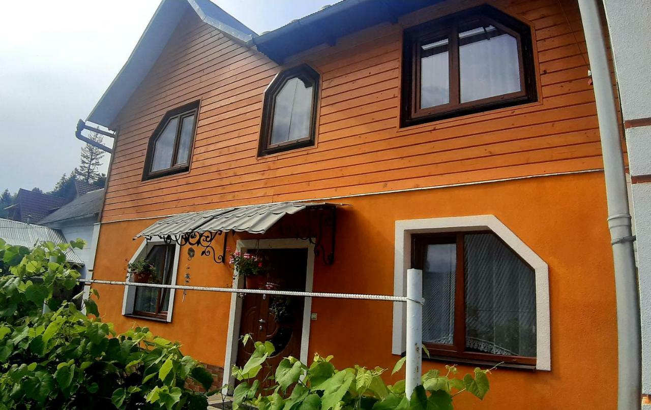 Guest House Karpaty ヤレムチャ エクステリア 写真
